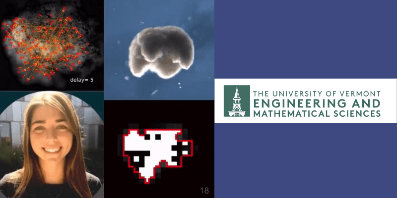 Caitlin Grasso and stills from research slides