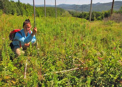 Christine Peterson on one of her study site powerline rights-of-way in the Champlain Valley of Vermont