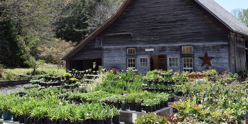 Rocky Dale Gardens in Bristol, Vermont