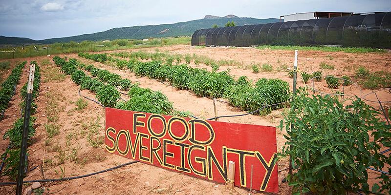 Crops grow around a sign that reads “Food Sovereignty” the People’s Farm.