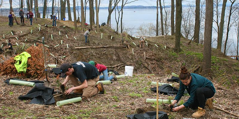 Students planting trees on land abutting Lake Champlain