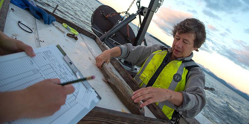 Ellen Marsden measures fish on boat on Lake Champlain