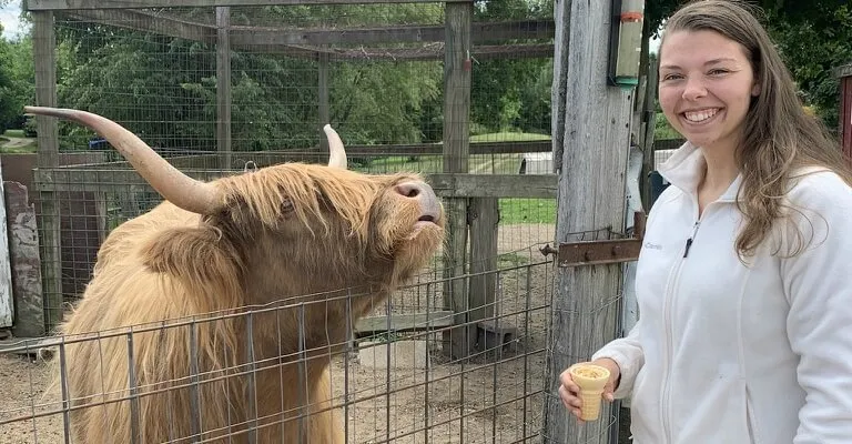 student and cow