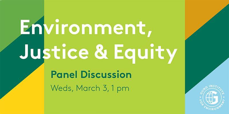 Promotional graphic for the Environment, Justice & Equity Panel Discussion