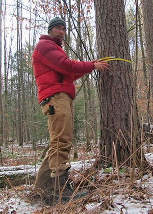 Eric Donnelly conducts senior research project at UVM Jericho Research Forest.