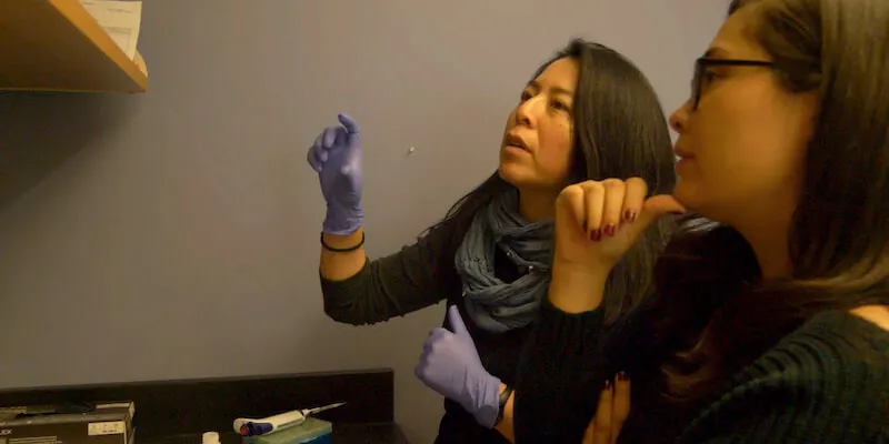 two women in research lab