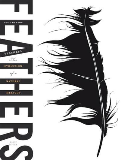 Feathers book cover