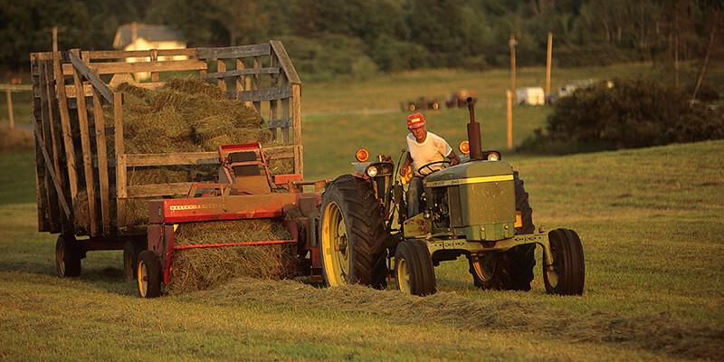 Vermont Farmer