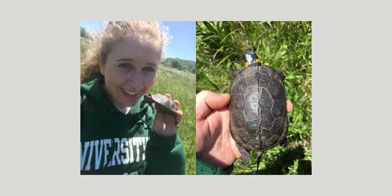 Hannah Hill holding a bog turtle