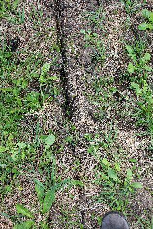 Keyline Plowing is One Strategy for Addressing Soil Fertility and Compaction