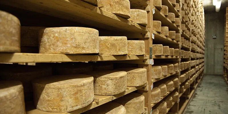 Cheese cellar at Jasper Hill Farm