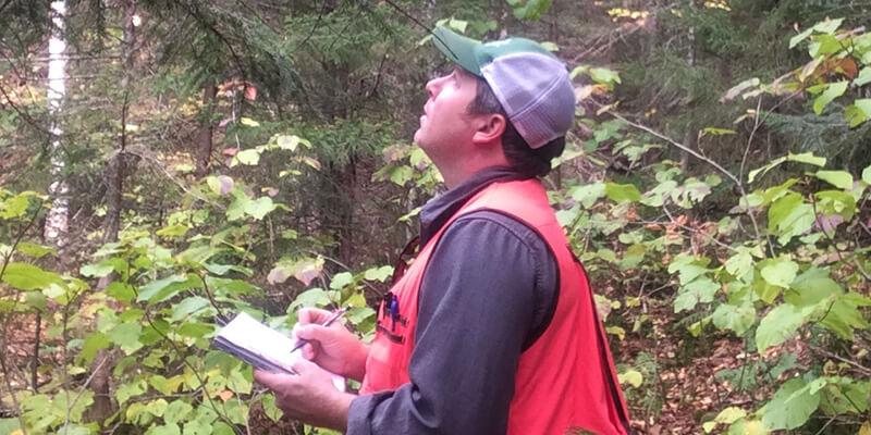 Josh Halman in the field assessing tree crowns.
