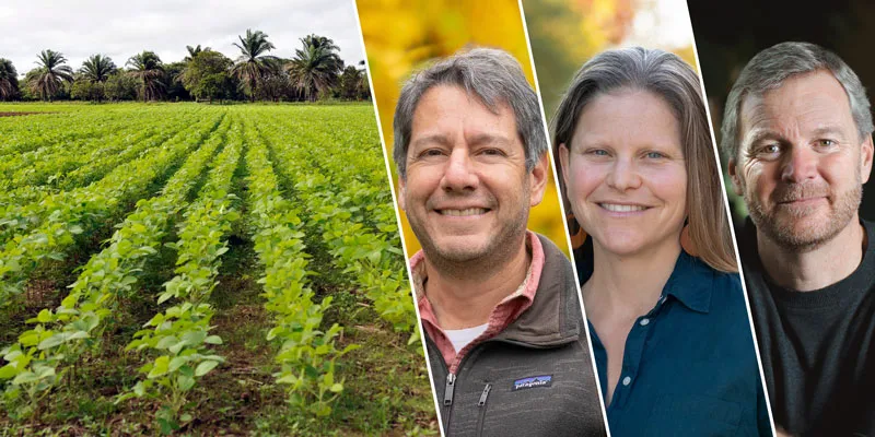 Image of three UVM professors on a background of a field of crops