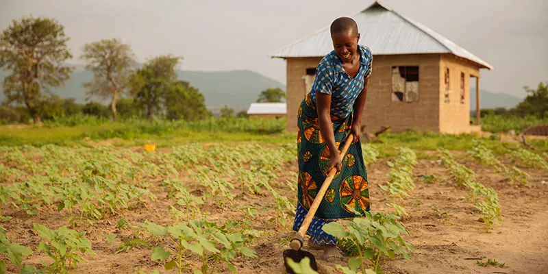 Woman at smallholder farm in East Africa. 