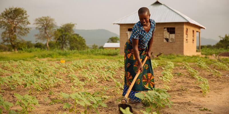 Woman at smallholder farm in East Africa. 