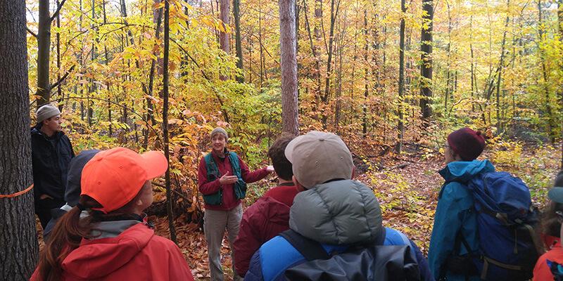 Forestry students in woods with Vermont County Forester.