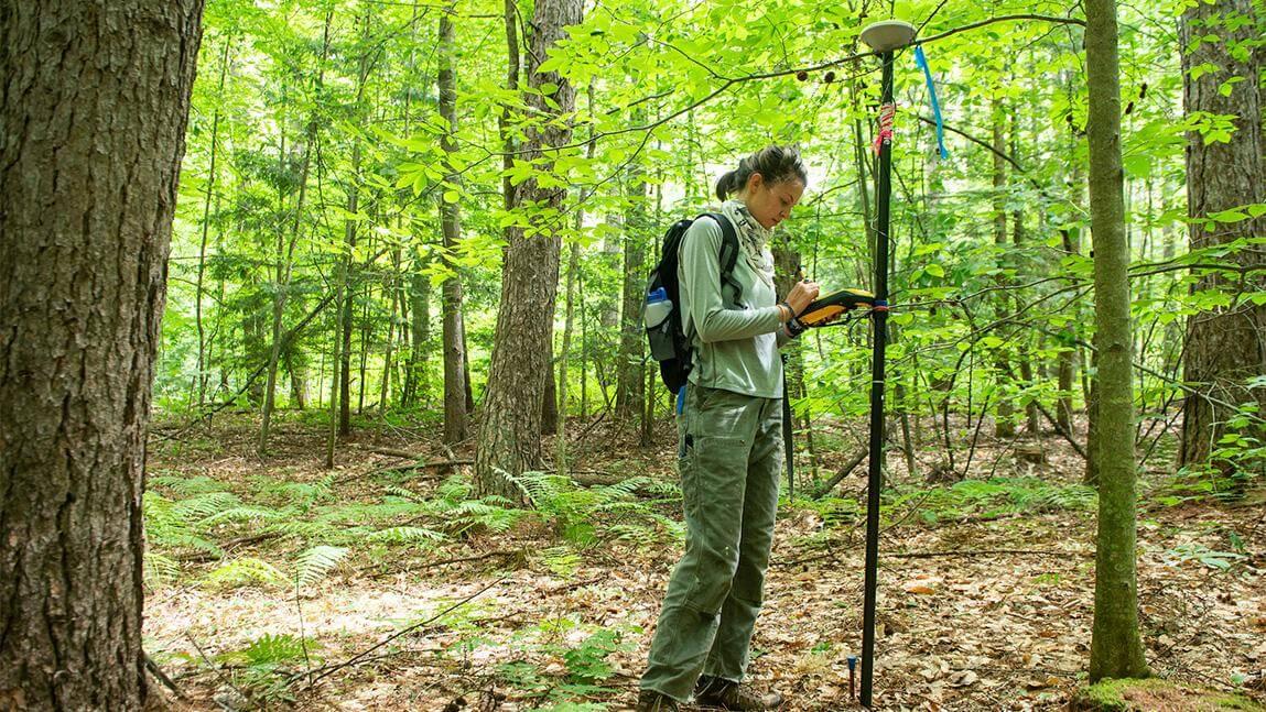 Olivia Lopez uses GPS equipment to locate a plot in the woods of the UVM Jericho Research Forest