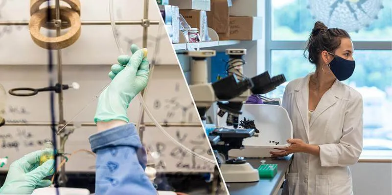 A composite of research imagery from University of Vermont labs, including a masked researcher in a white lab coat and a close up of gloved hands conducting an experiment.