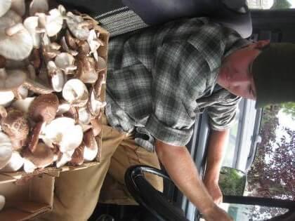 Farmer Bringing Log-grown Shiitakes to Market