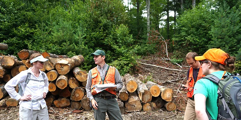 Tony D'Amato leads research group at Second College Grant in New Hampshire