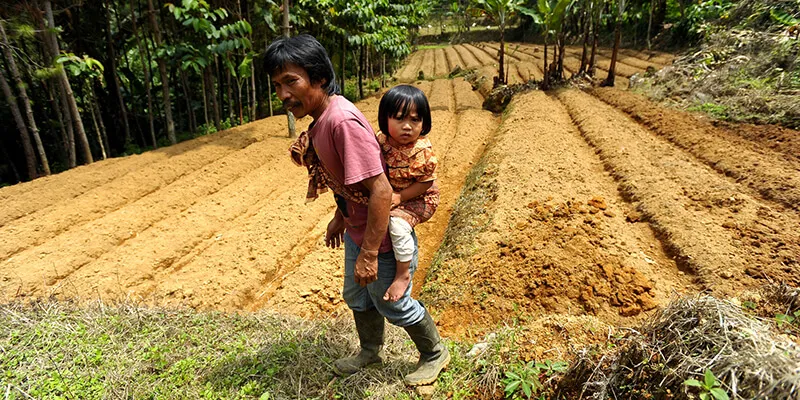 A father carries a child on his back, standing in a field