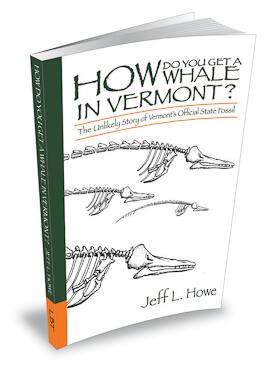 whale book cover