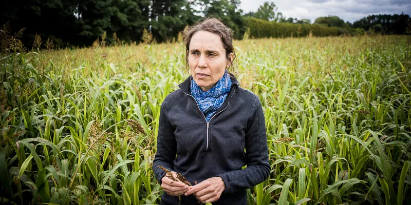 Lini Wollenberg