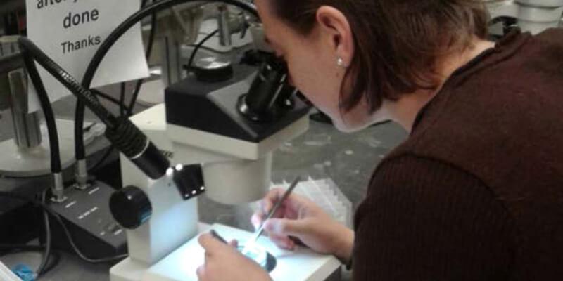 Zoe Albion at a microscope