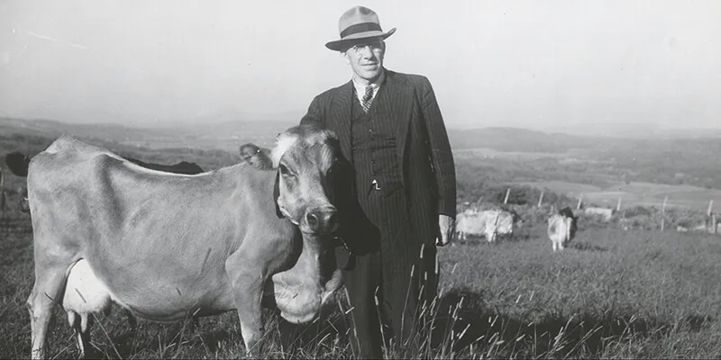 Senator George Aiken with cow