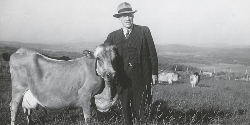 Senator George Aiken with cow