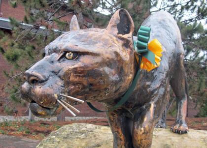 catamount