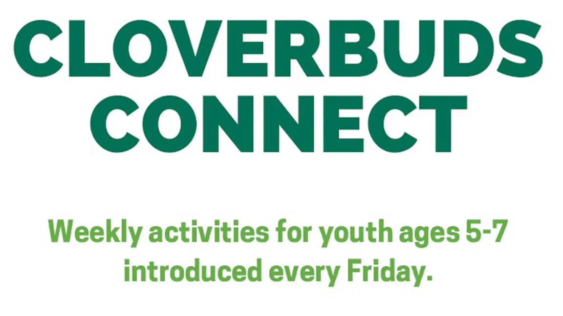 cloverbuds connect logo