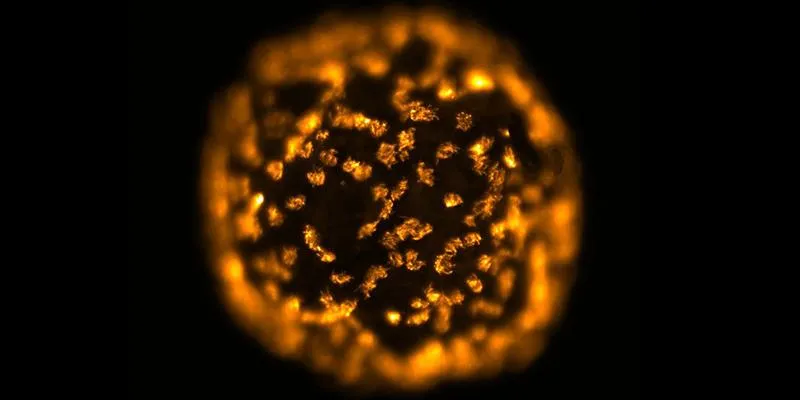 A singular xenobot, a living robot, seen glowing orange against black background