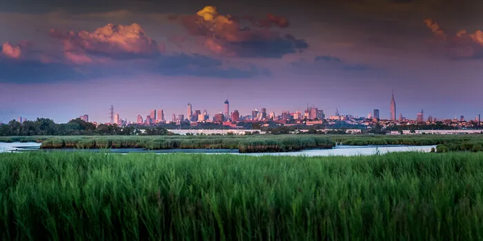 city skyline