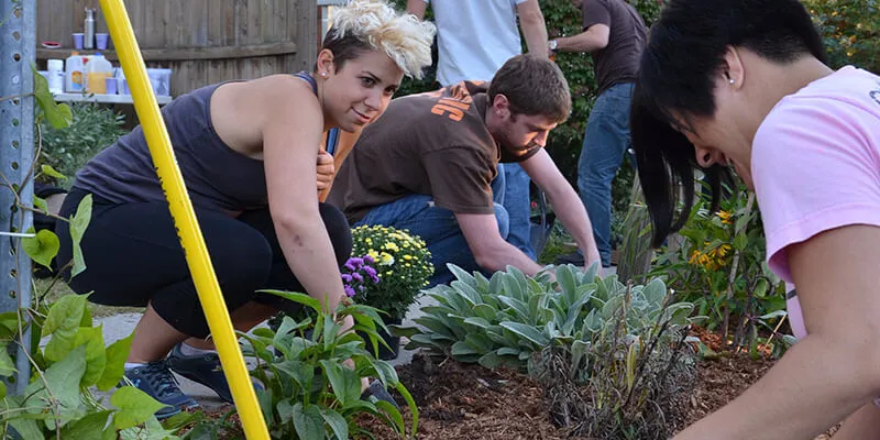 Three people work in a garden