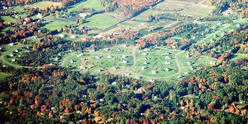 subdivision in forest