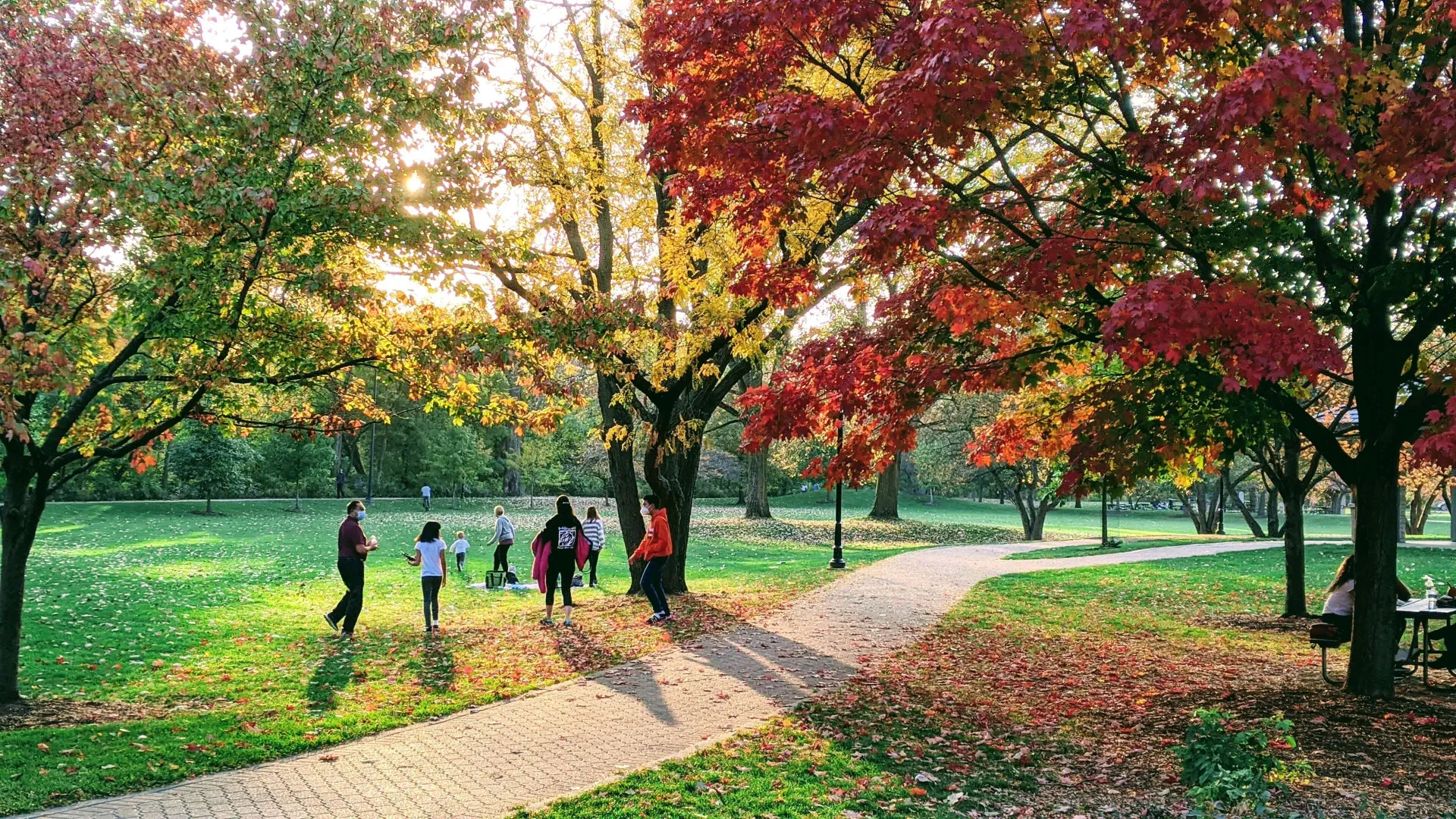 A park with a sidewalk going through it and autumn trees