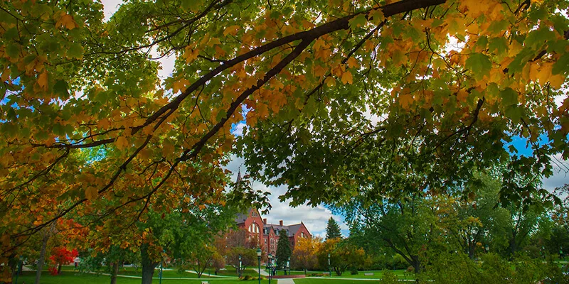 Old Mill in the distance with green and gold foliage in the foreground