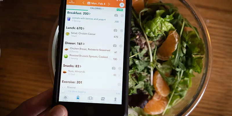hand holding cell phone with nutrition/diet app open over a plate of salad