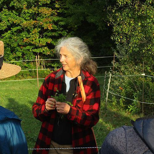 image description: woman in red plaid jacket in a green field, talking with a group