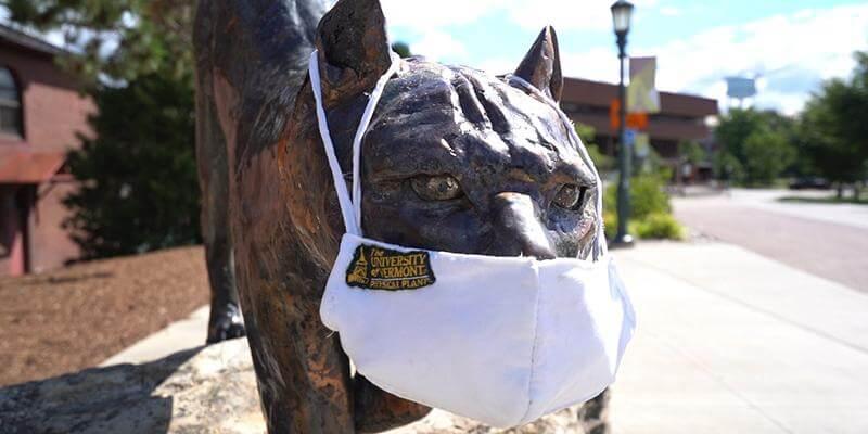 Catamount statue on UVM's campus wears a white mask