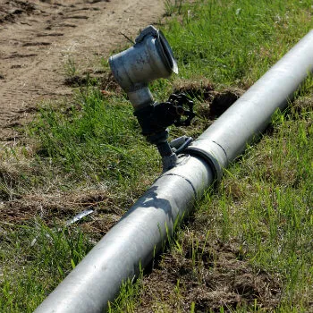 irrigation lines