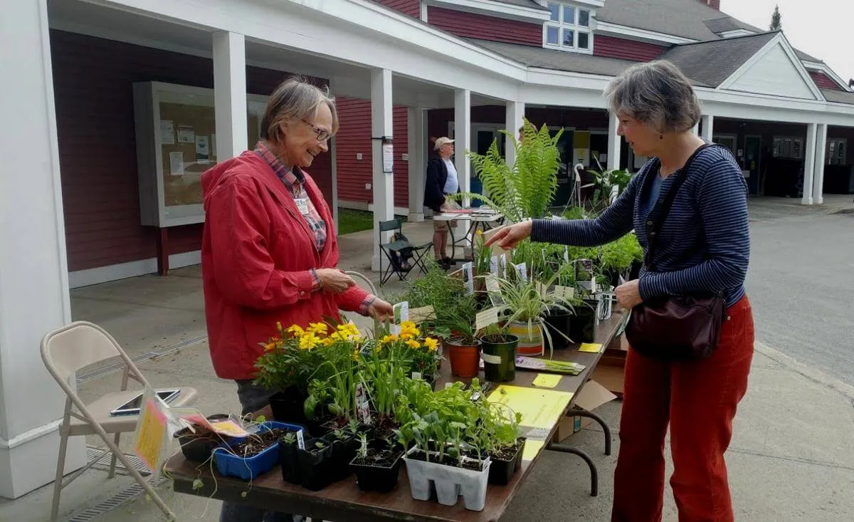 A women exchanging money for a plant