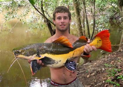 Large fish
