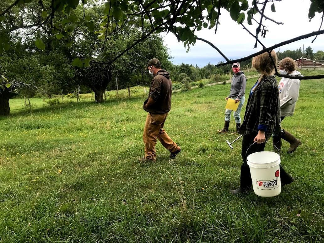 four masked people walking in a green pasture, one of whom is holding a large white plastic bucket and soil probe