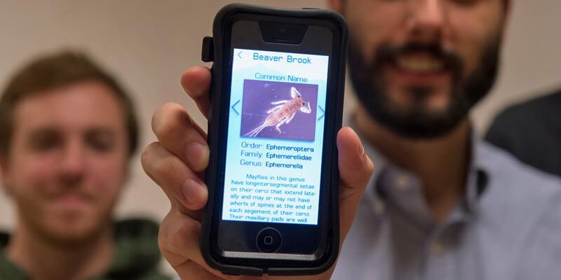 macroinvertebrate app