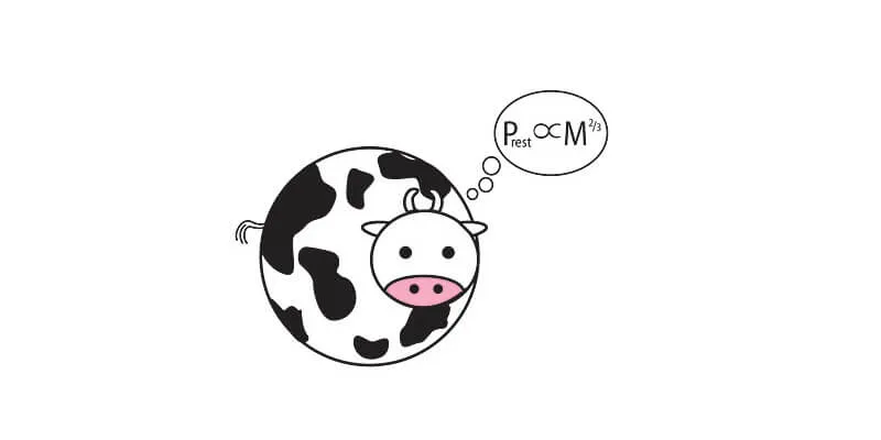 cartoon drawing of sphere-shaped cow