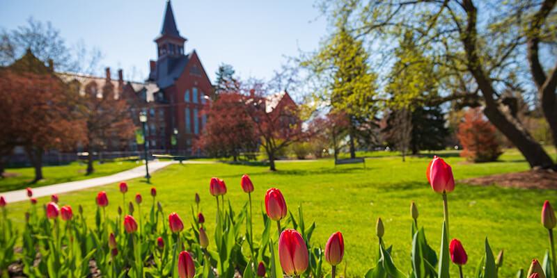 Campus shot with flowers in foreground