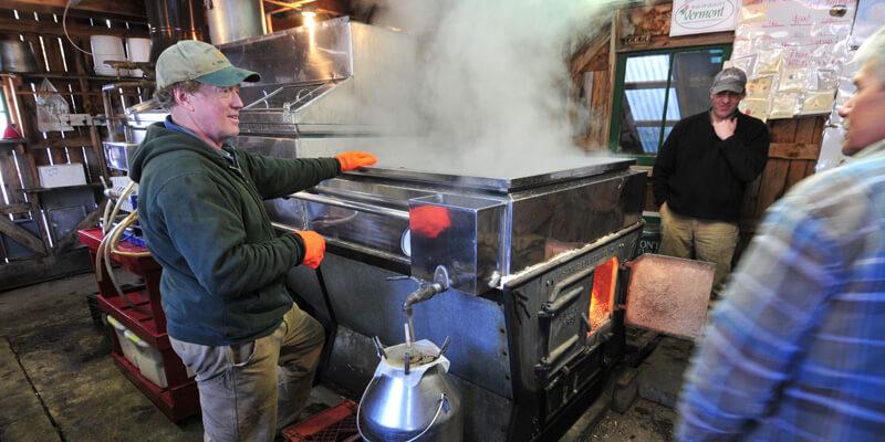 maple sugar production