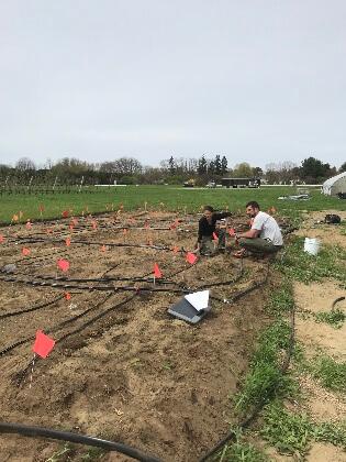 Joshua, Becky & irrigation lines in a field on the farm.